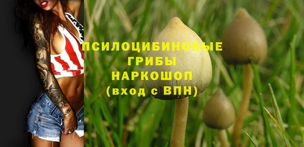 ALPHA-PVP Абинск