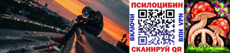 купить наркотик  Абинск  Псилоцибиновые грибы ЛСД 