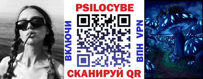 Псилоцибиновые грибы Cubensis Абинск