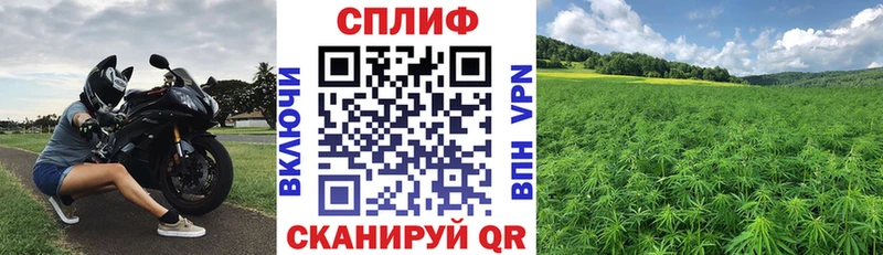 Канабис индика  маркетплейс официальный сайт  Абинск  дарнет шоп 
